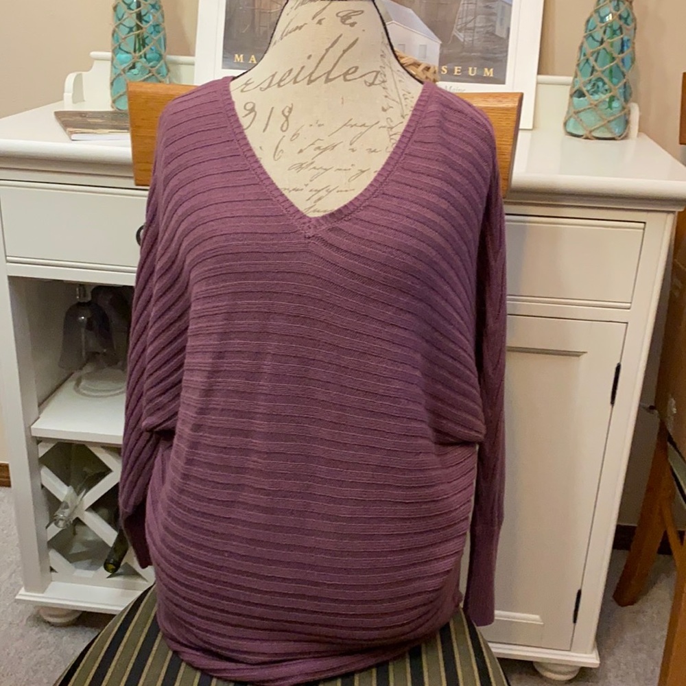 Cute winged sweater